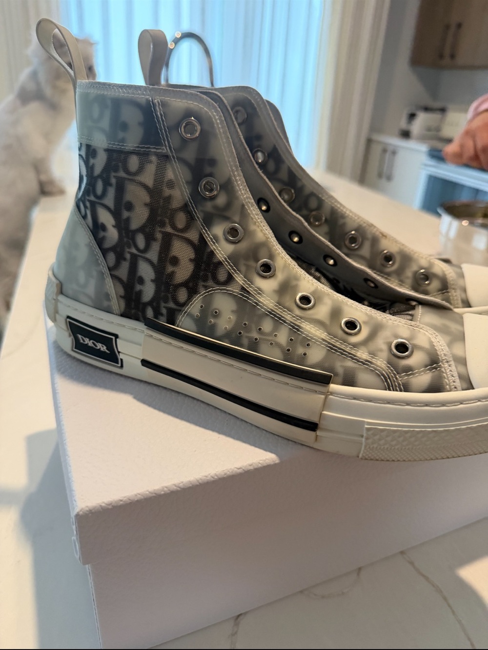 Dior Grey Monogram High-Top Sneakers